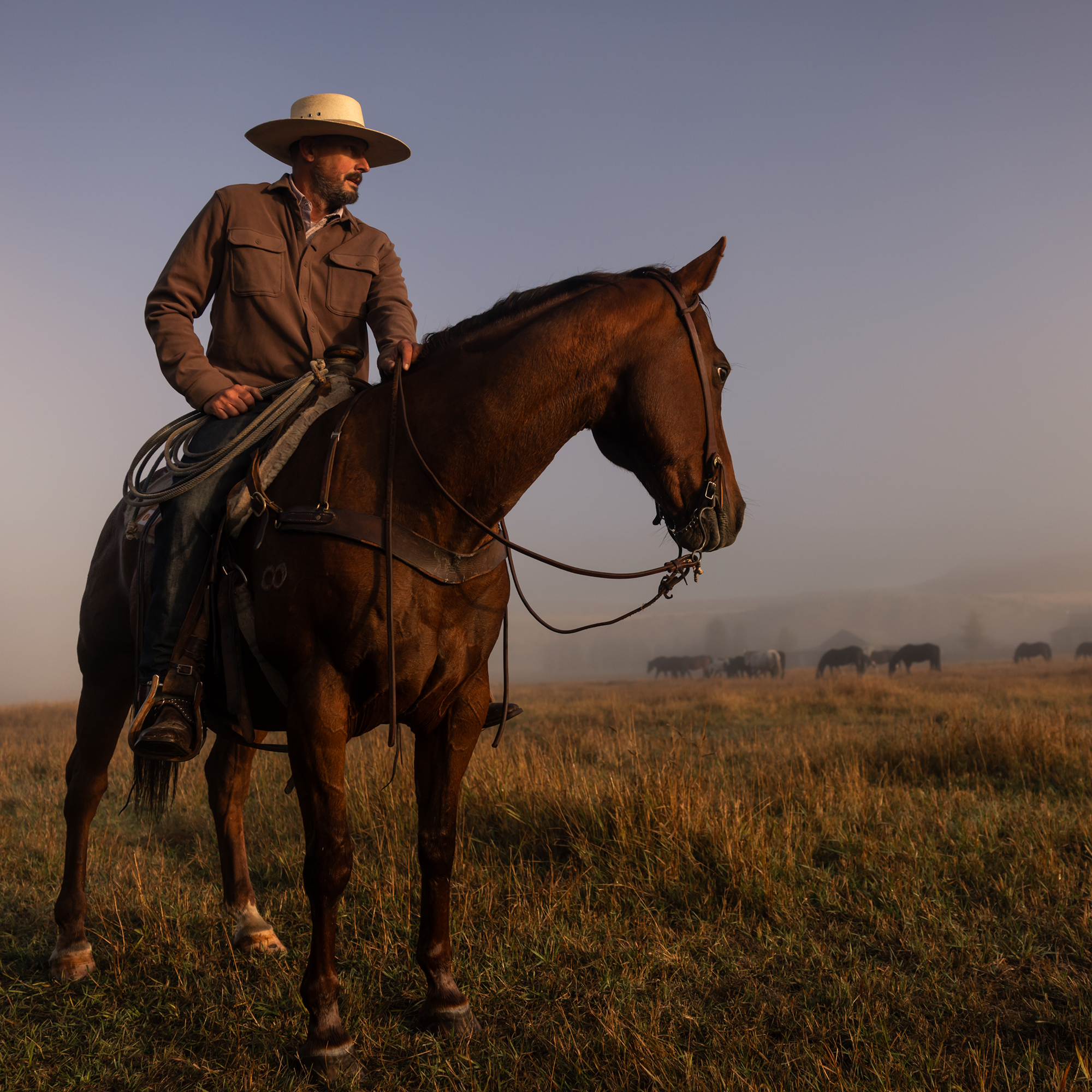 Woodsman Stretchy Corduroy (Coyote Brown) - Image 2