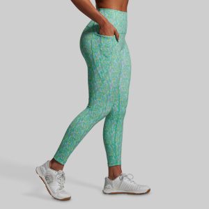 Eccentric Legging (Stellar)